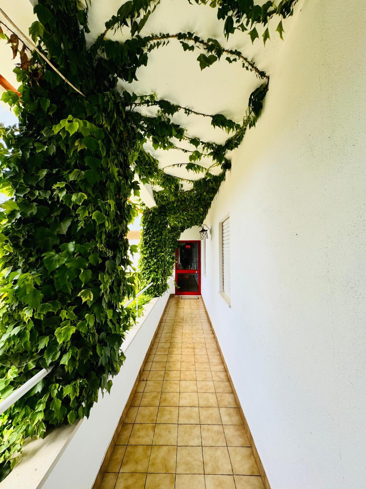 Nature & Beach Guest Rooms, Aldeamento Turistico Do Camarido Cristelo  Esterno foto